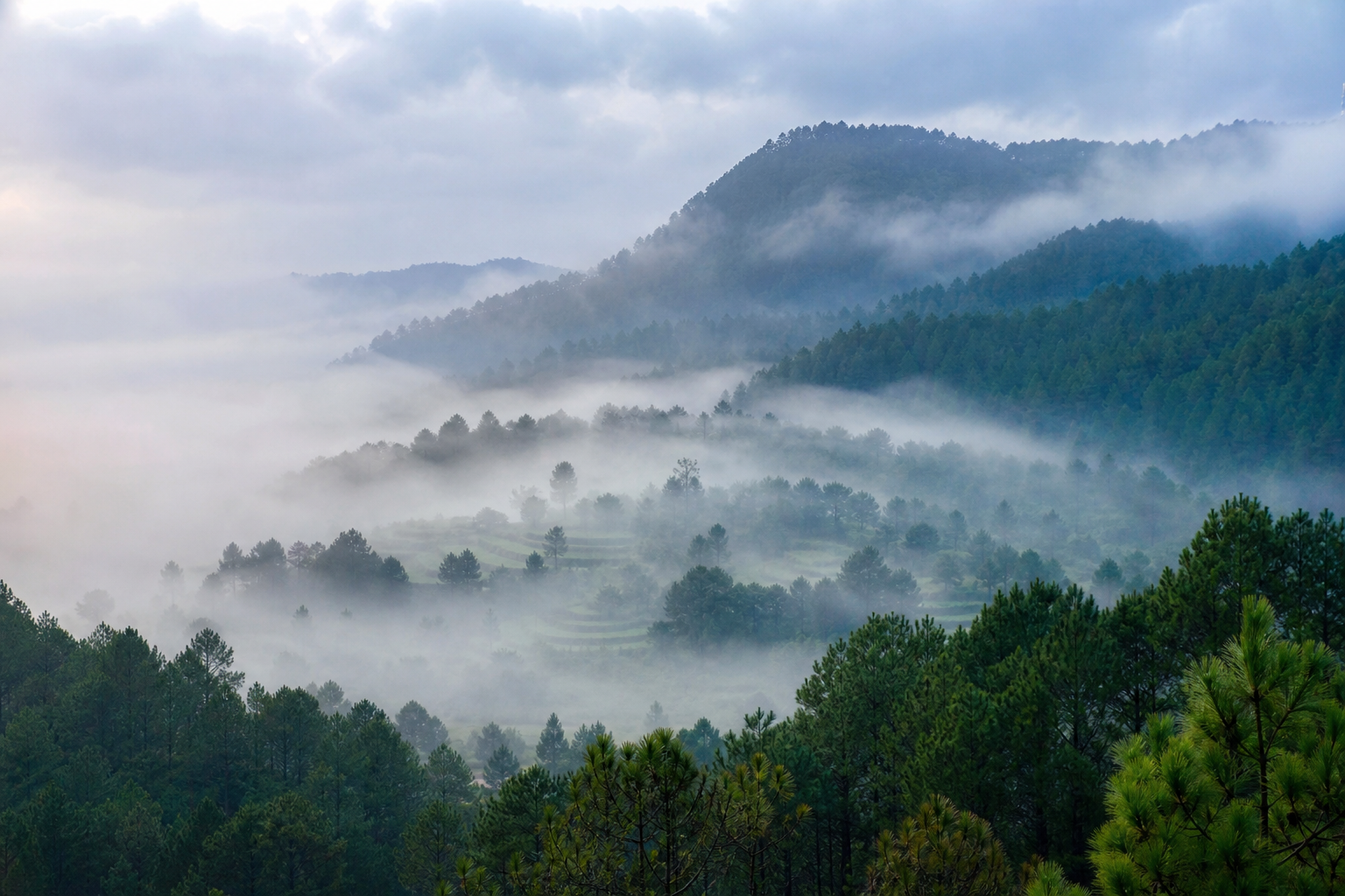 Daringbadi